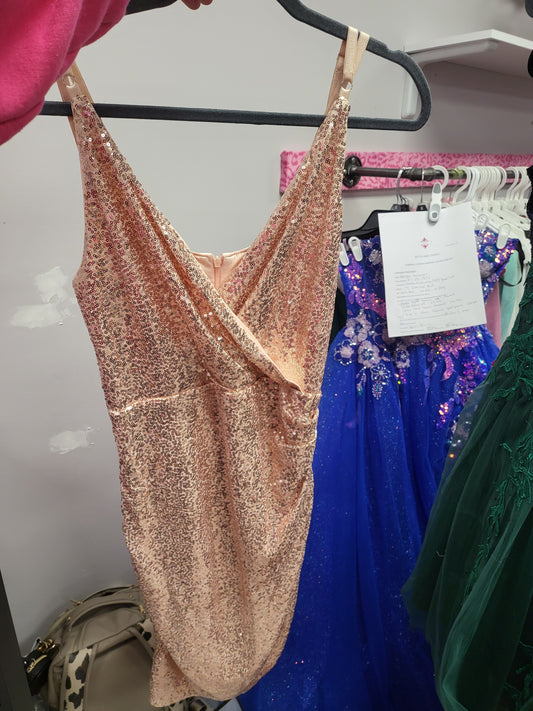 Blush Sequin Dress